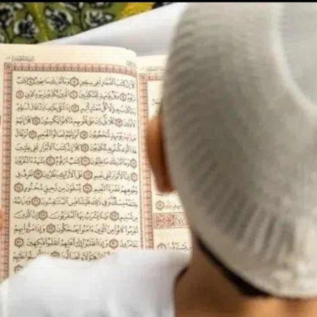 الصورة غير متاحة
